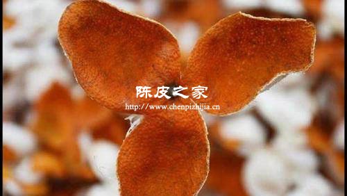 越厚的桔子皮越适合做陈皮吗